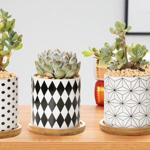 B&W Planters Set of 3